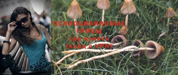 MDMA Нязепетровск