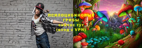MDMA Нязепетровск