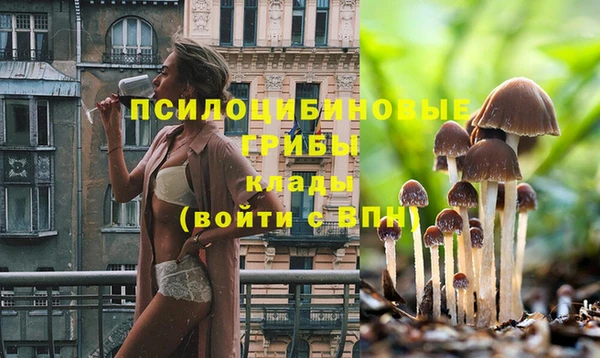 сатива Нягань