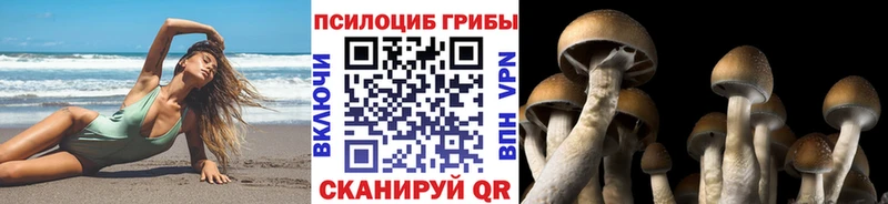 Псилоцибиновые грибы Psilocybine cubensis Прохладный