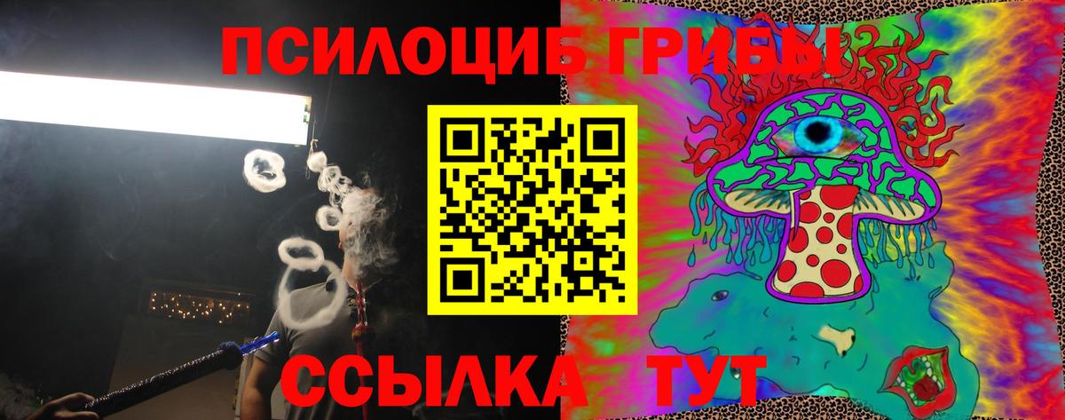 Галлюциногенные грибы GOLDEN TEACHER Прохладный